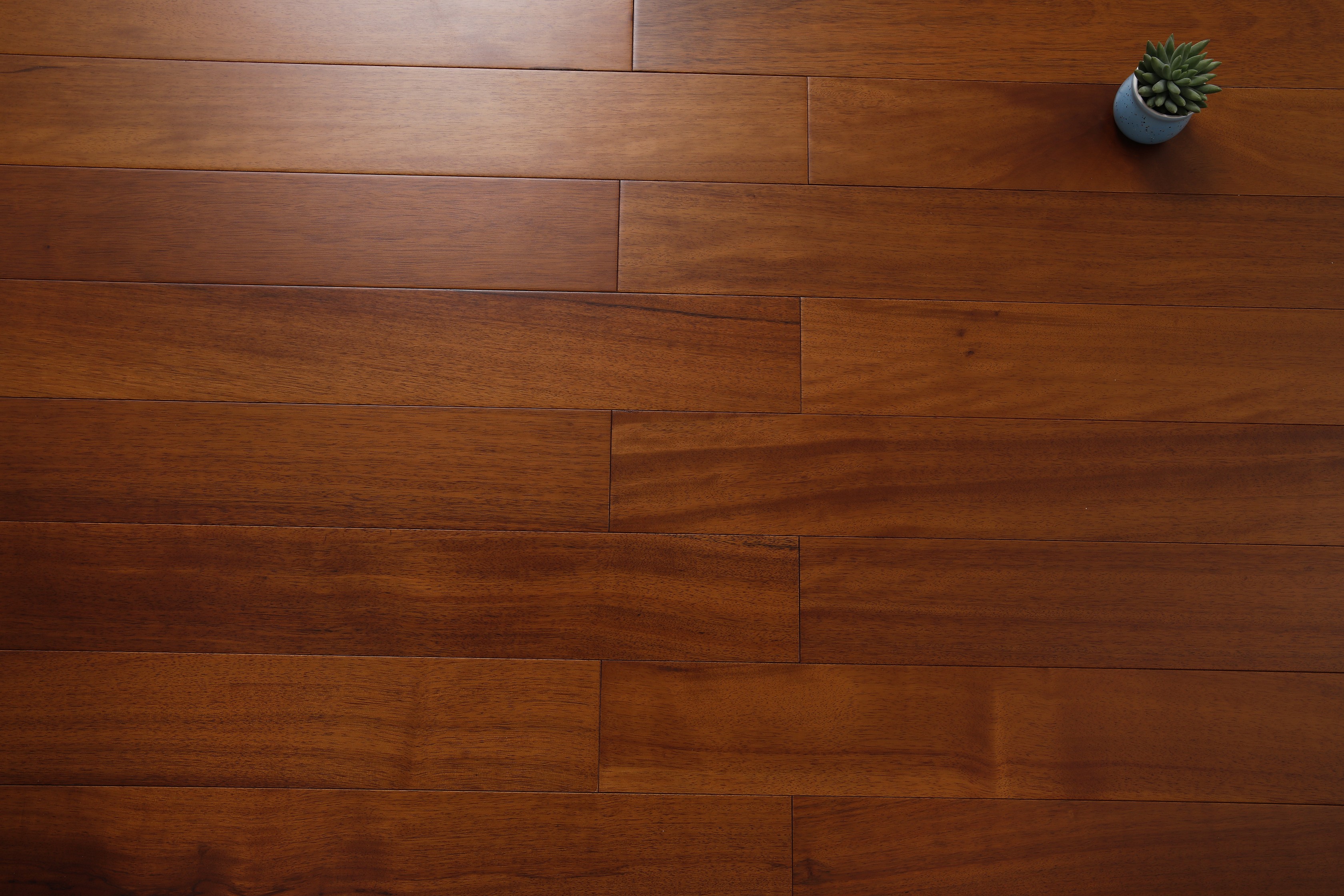 _H4A5571_眸目压缩