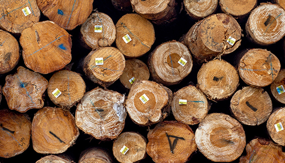 wood flooring material