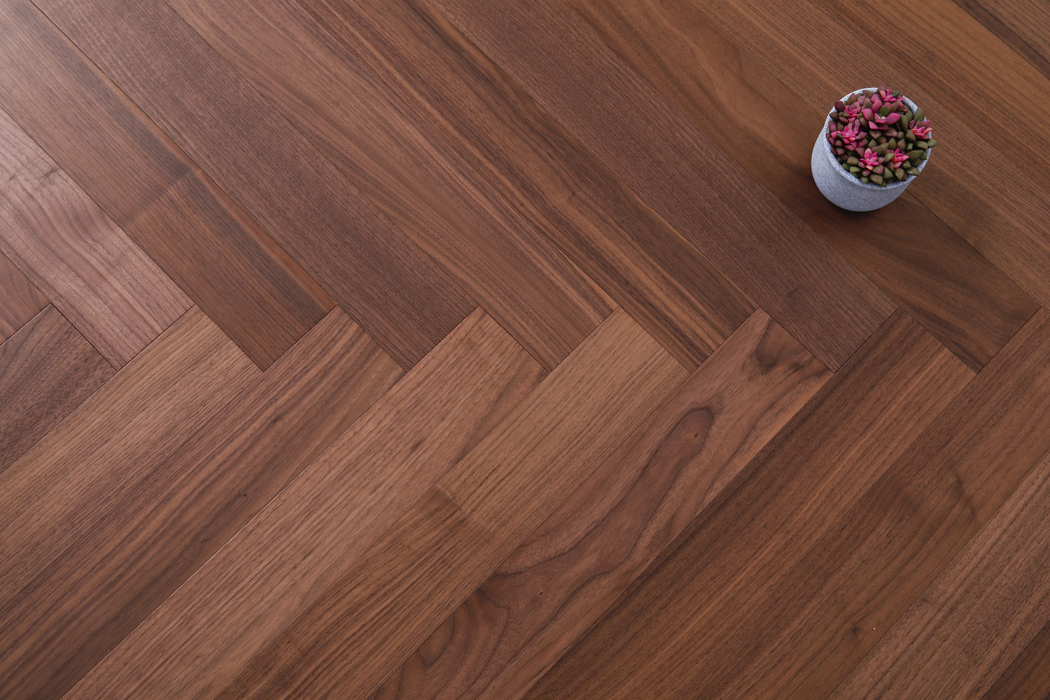 _H4A4362_眸目压缩