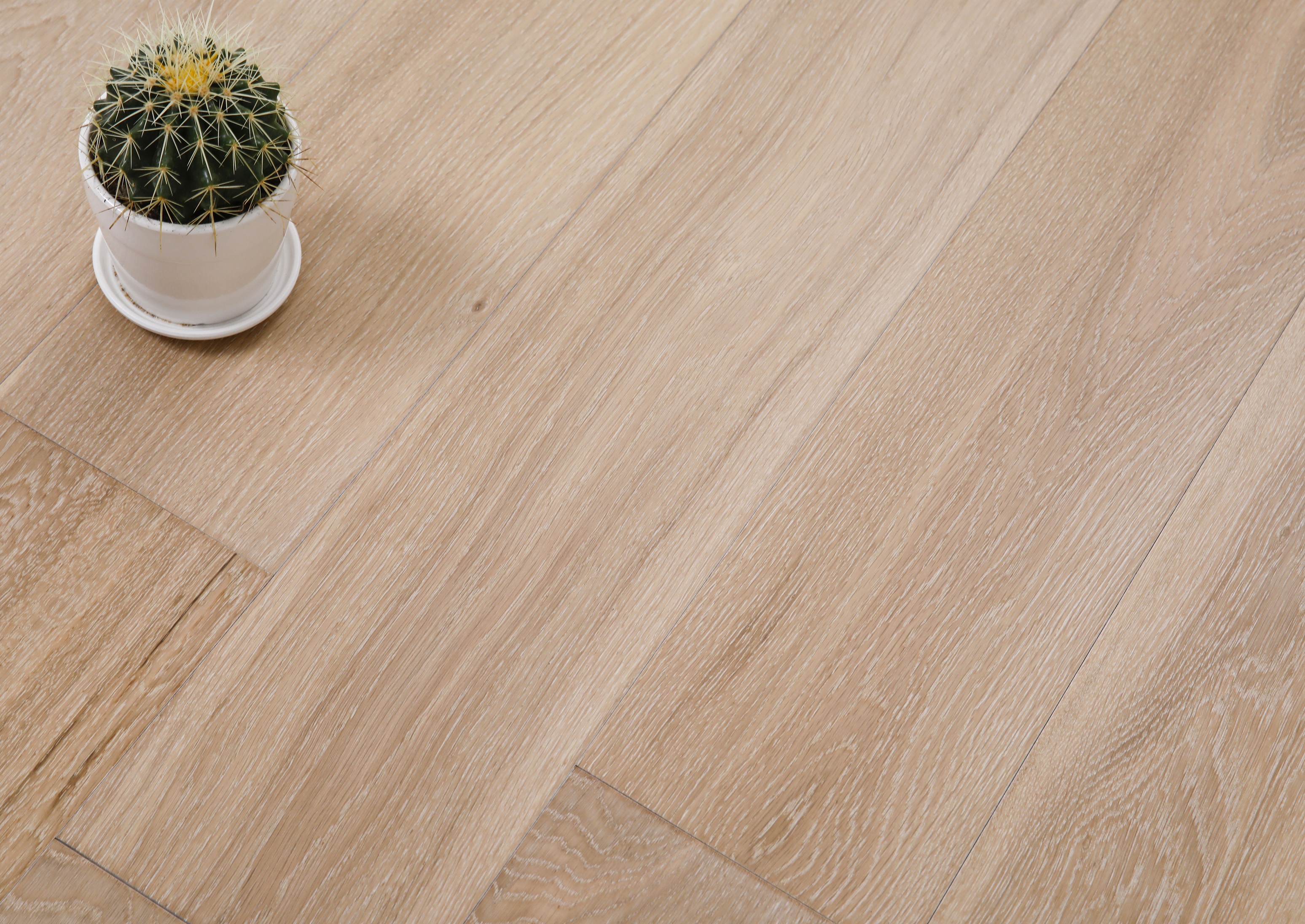 _H4A8092_眸目压缩